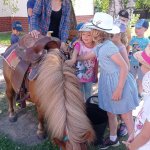 phoca_thumb_m_ponk 1 Fotogalerie